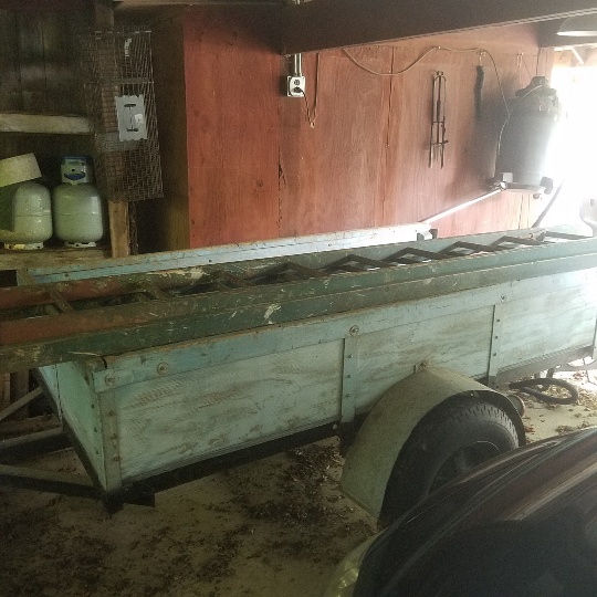 Auction Photo