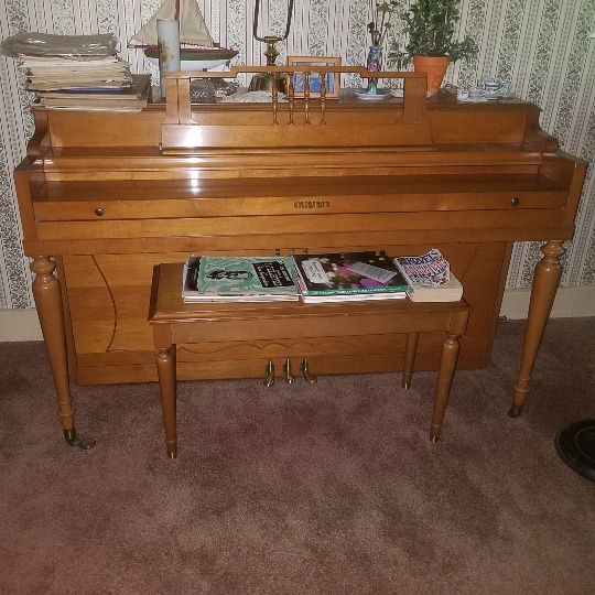 Auction Photo