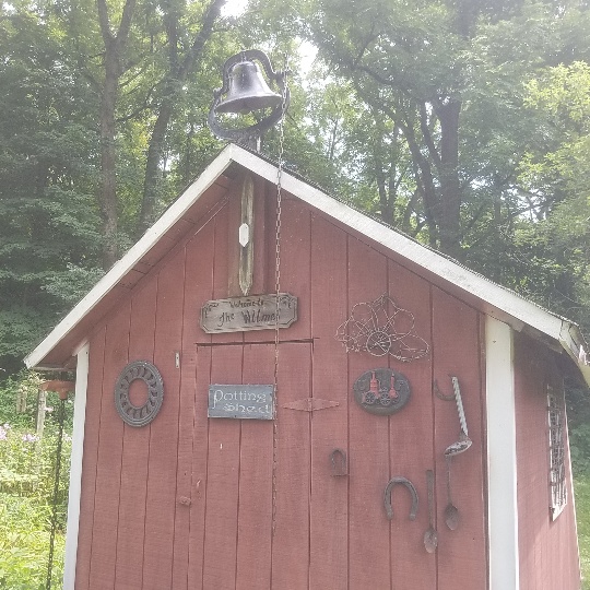 Auction Photo