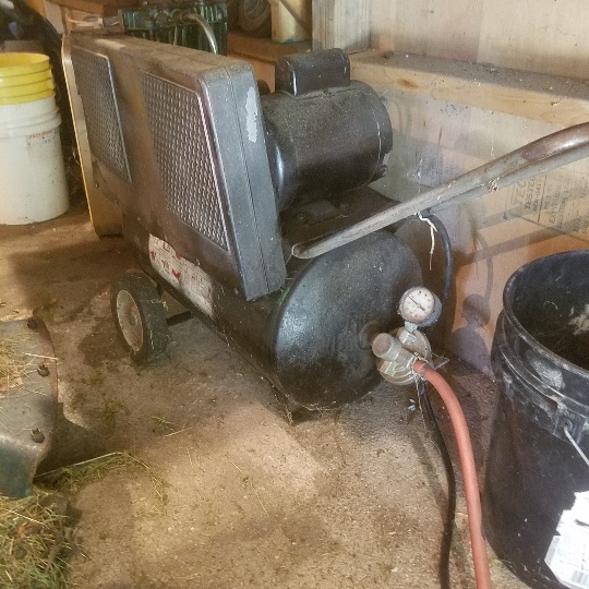 Auction Photo