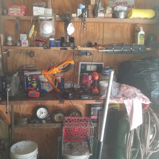 Auction Photo