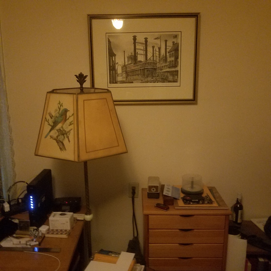 Auction Photo
