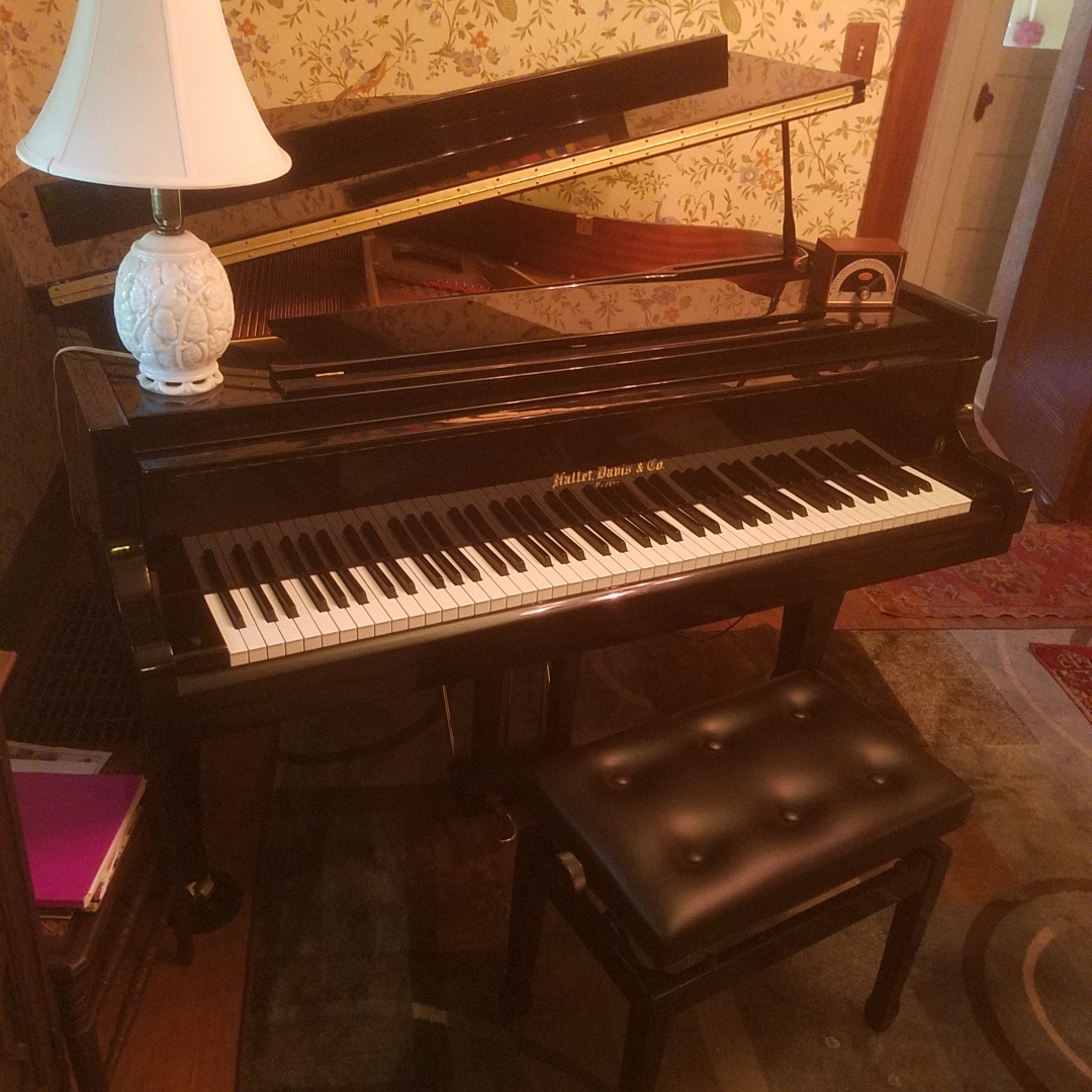 Auction Photo