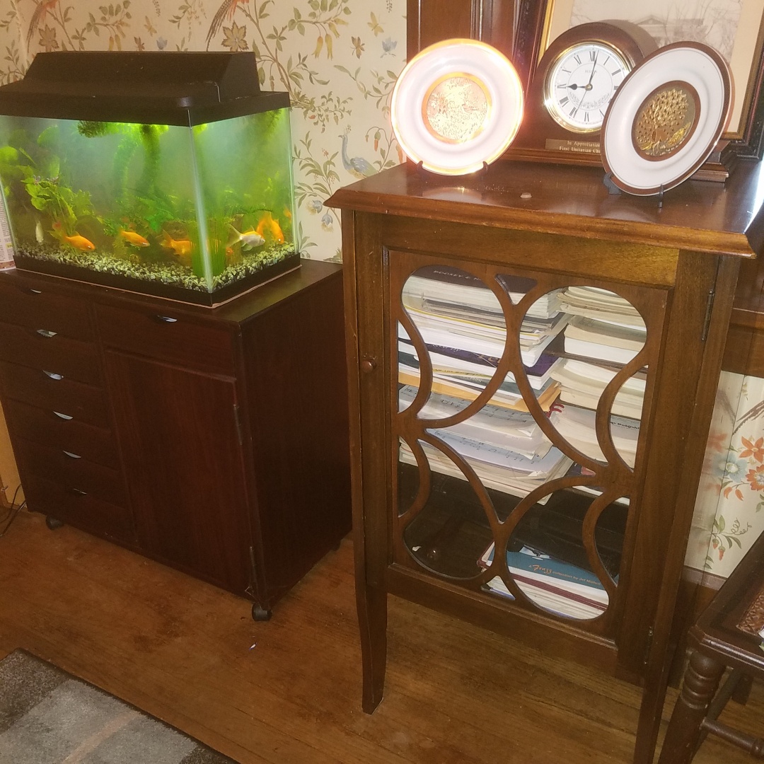 Auction Photo