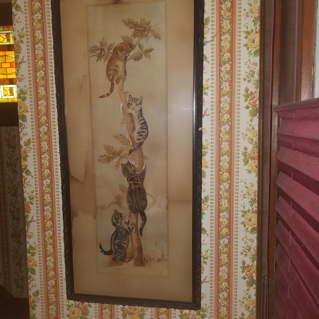 Auction Photo
