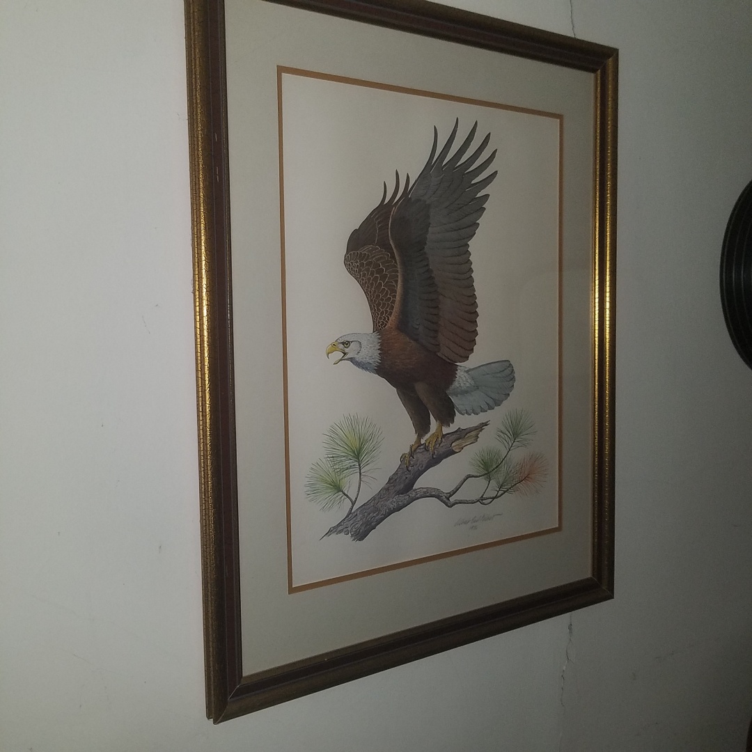 Auction Photo
