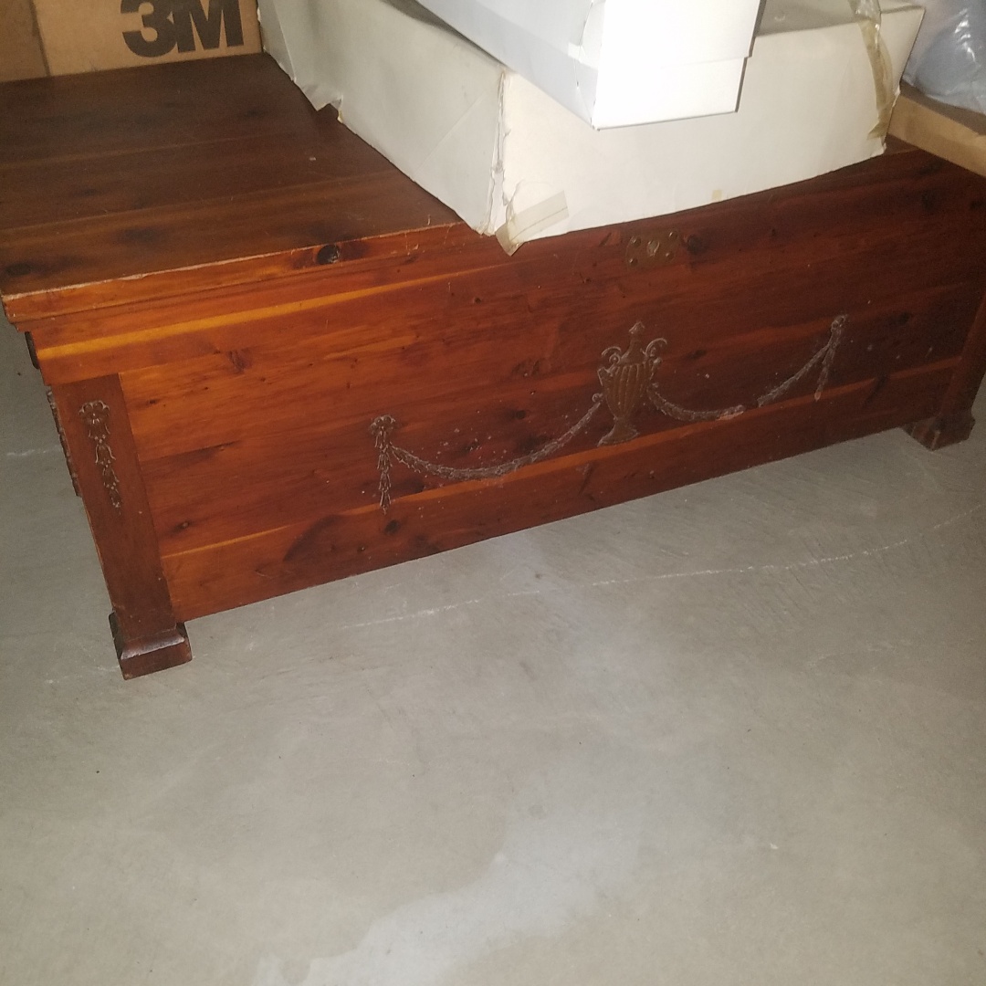 Auction Photo