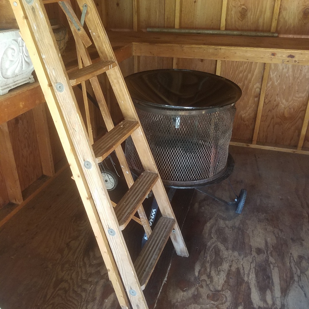 Auction Photo
