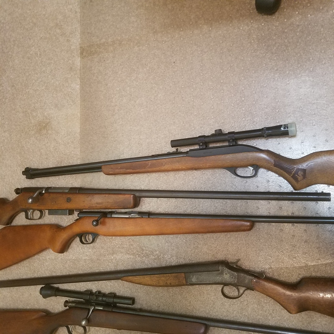 Auction Photo