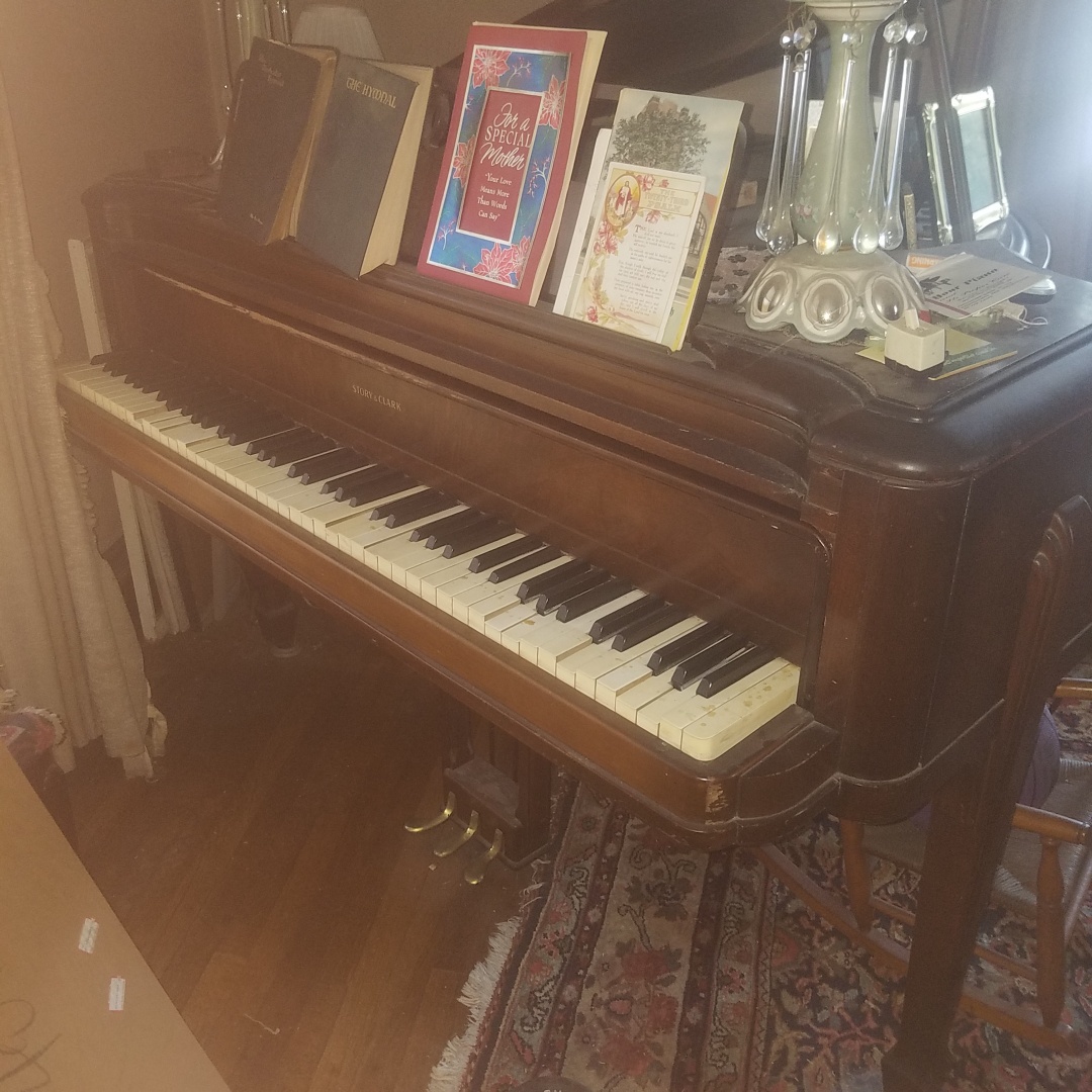 Auction Photo