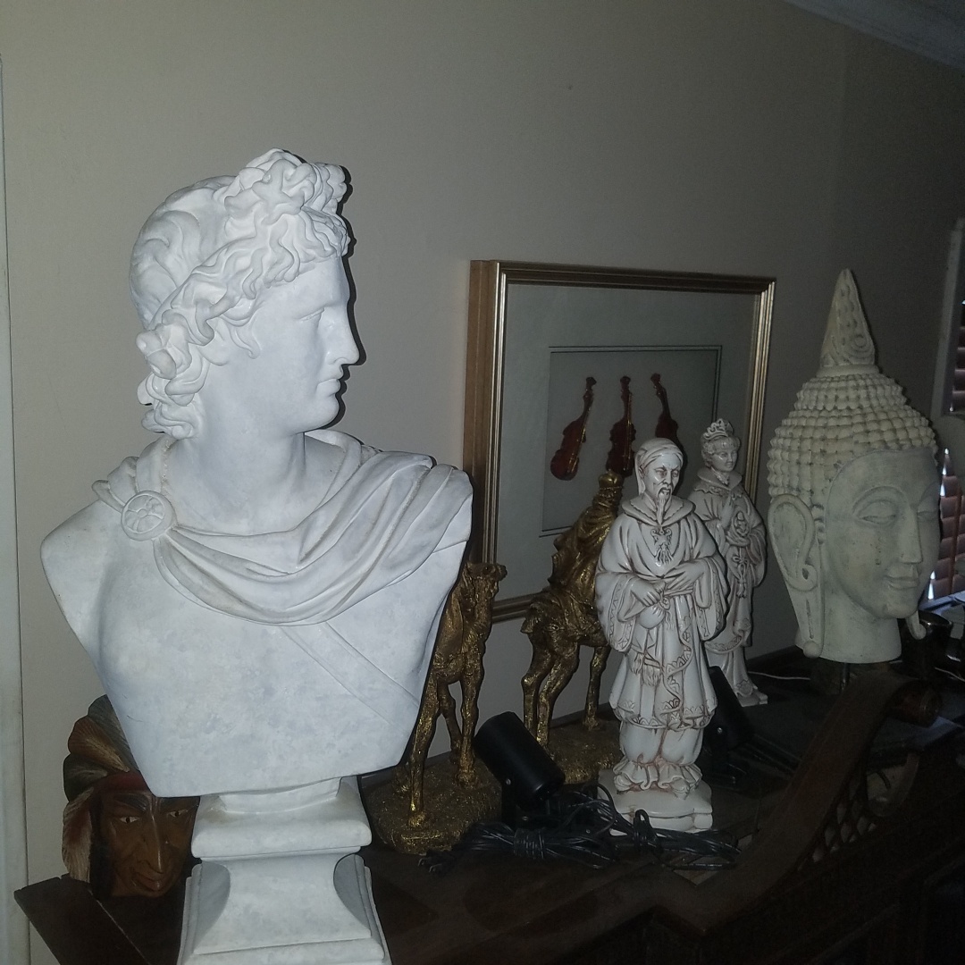 Auction Photo