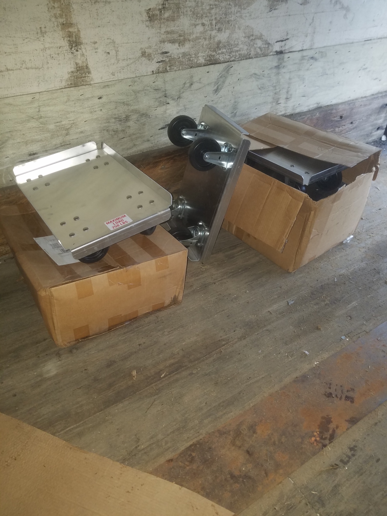 Auction Photo