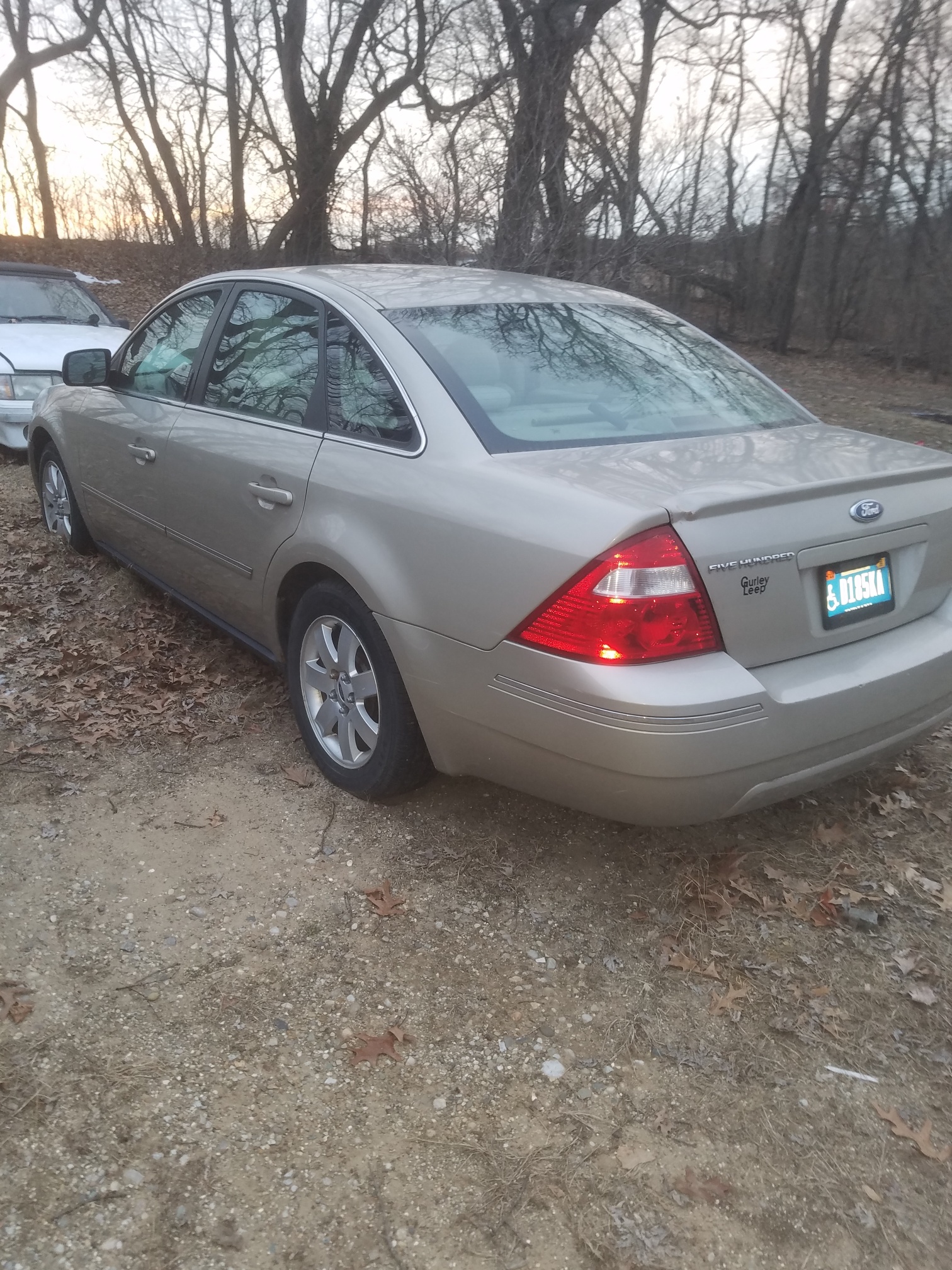 Auction Photo