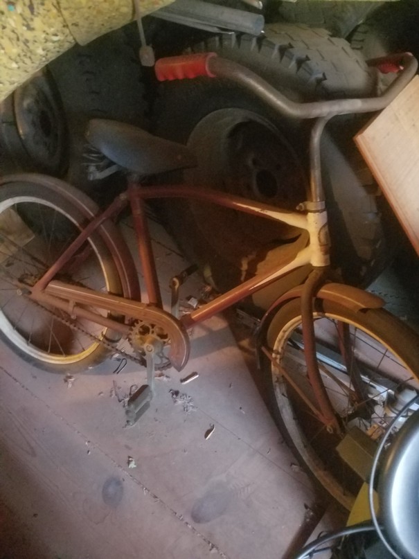 Auction Photo