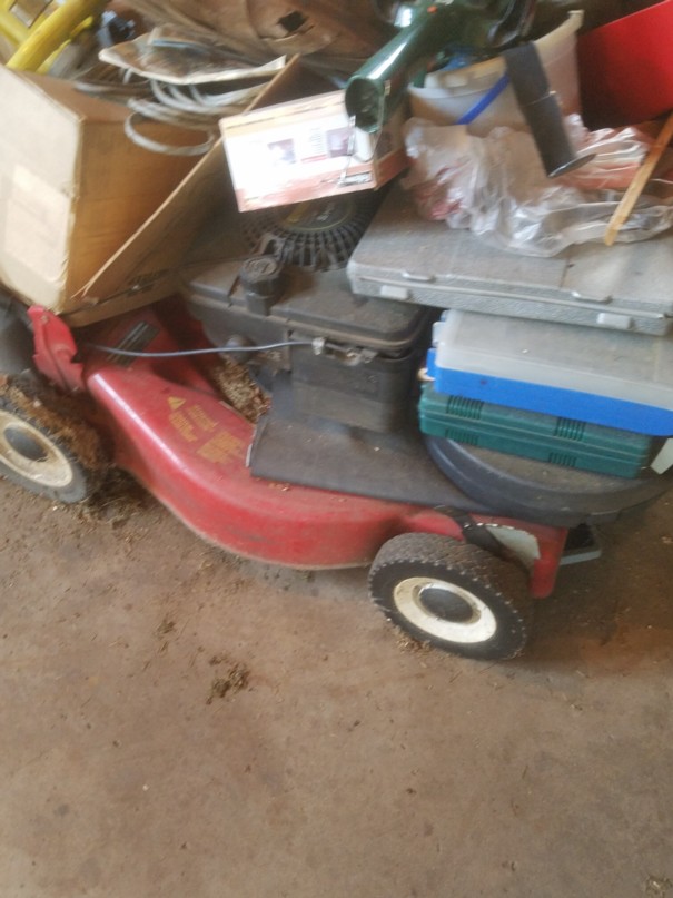 Auction Photo
