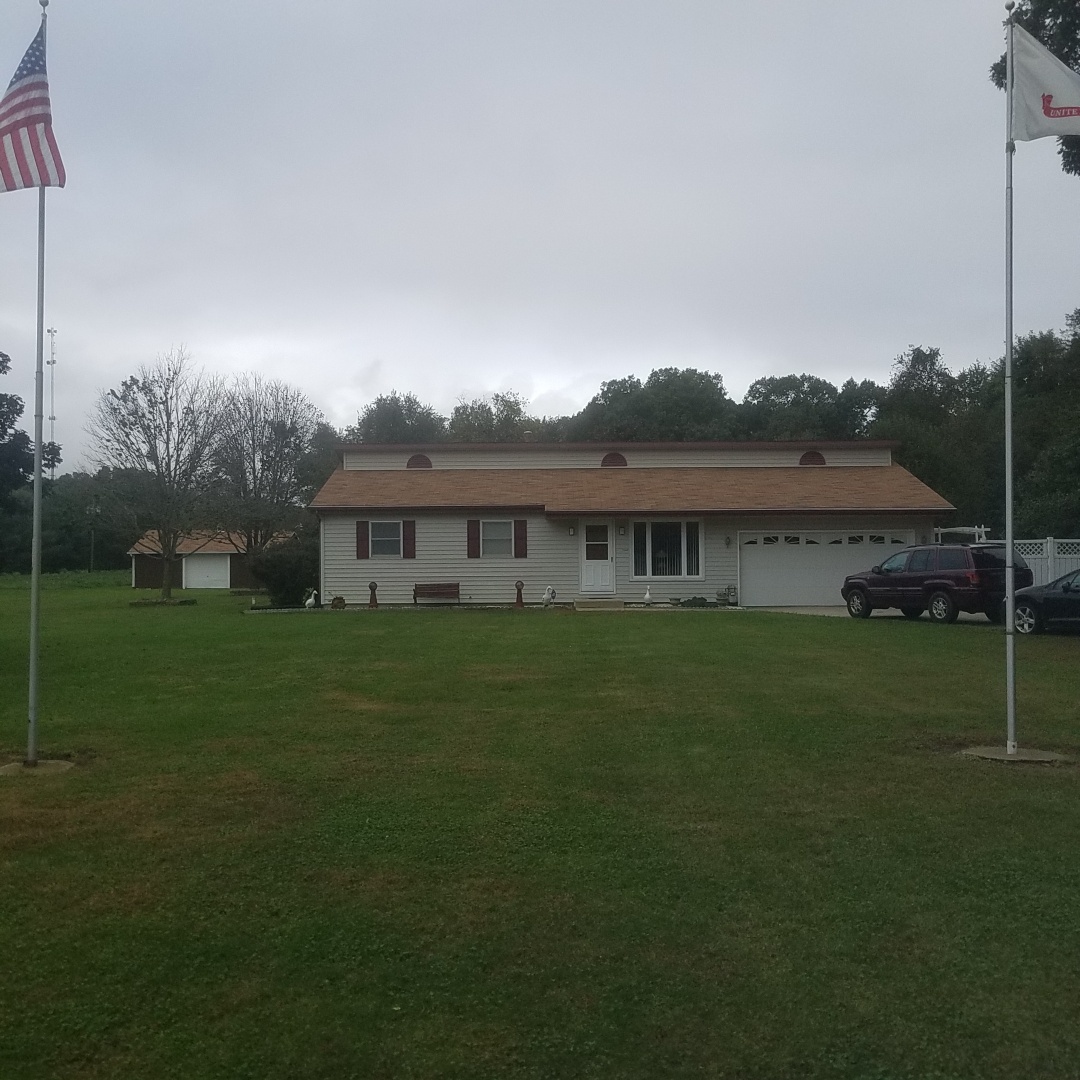 Auction Photo