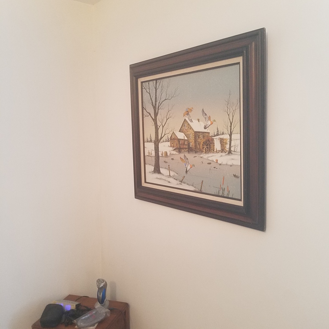 Auction Photo