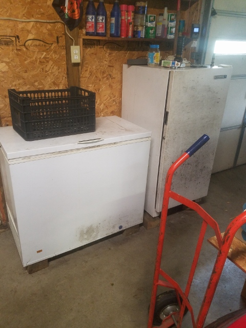 Auction Photo