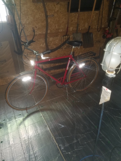 Auction Photo