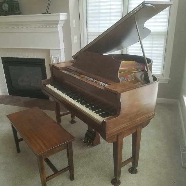 Auction Photo