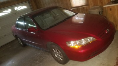 Auction Photo