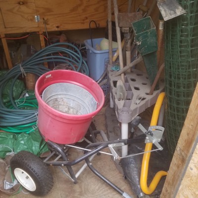 Auction Photo