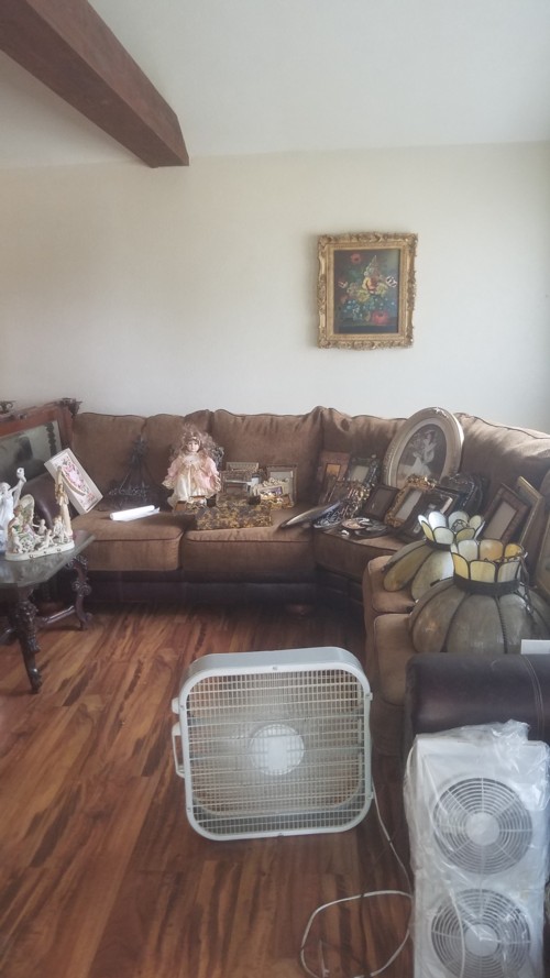 Auction Photo