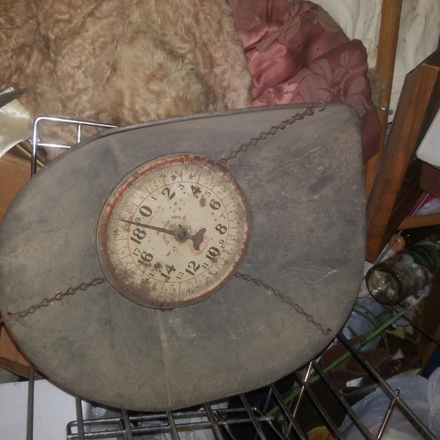 Auction Photo