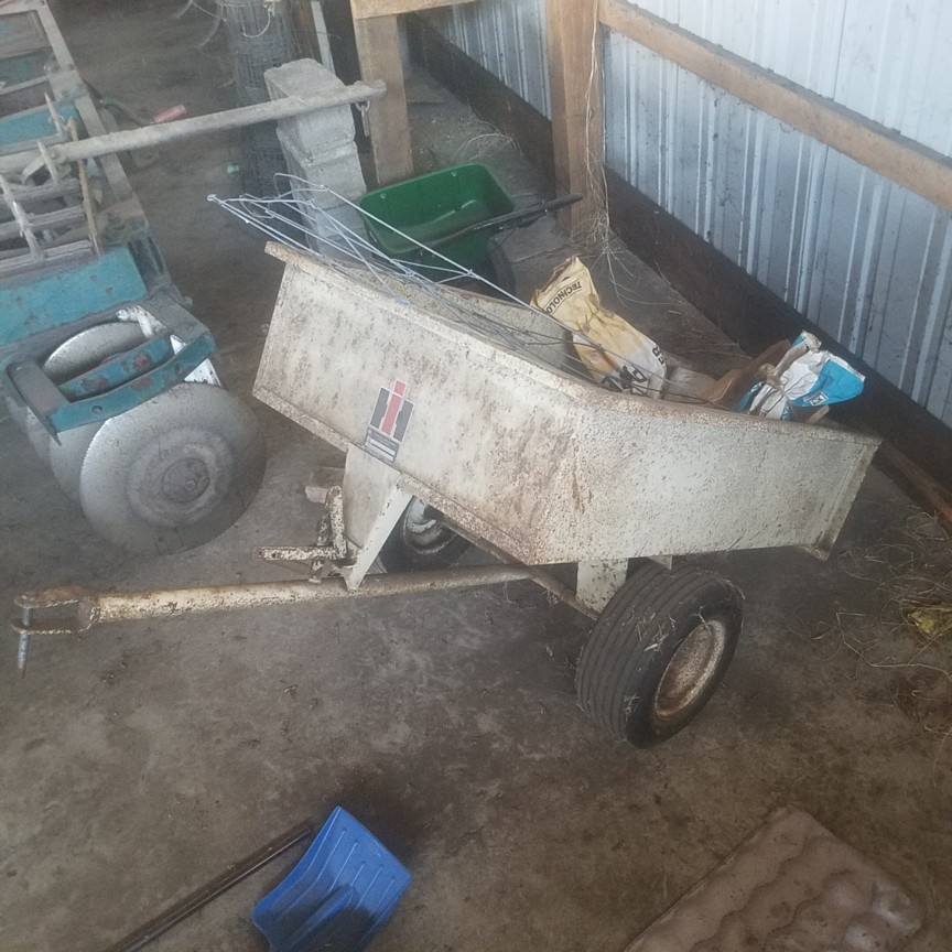 Auction Photo