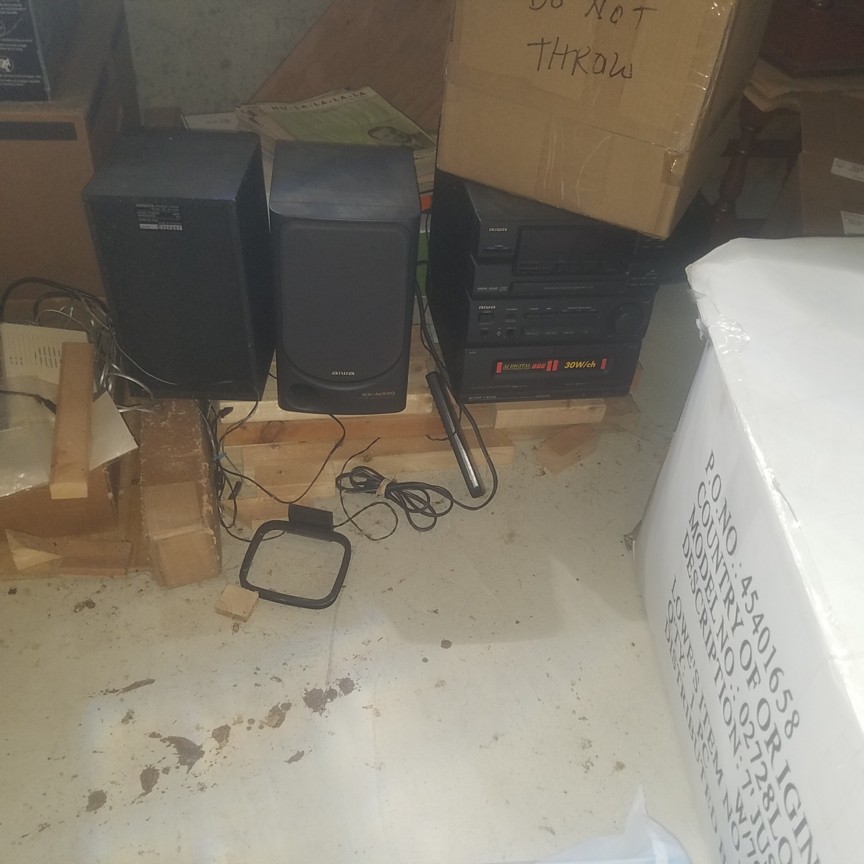 Auction Photo