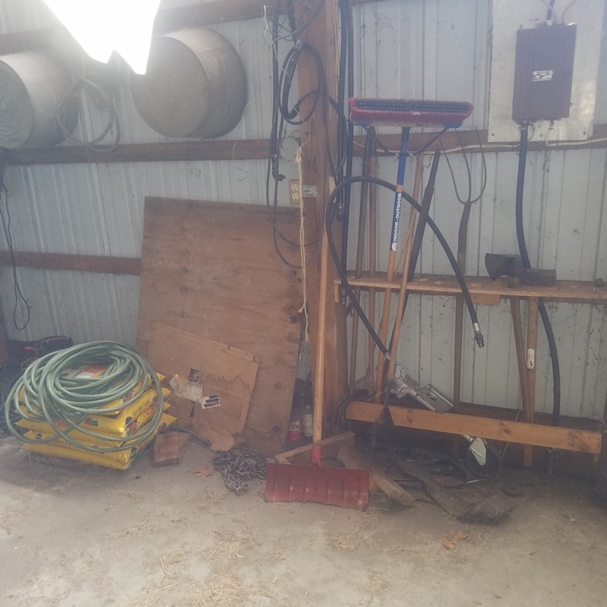 Auction Photo