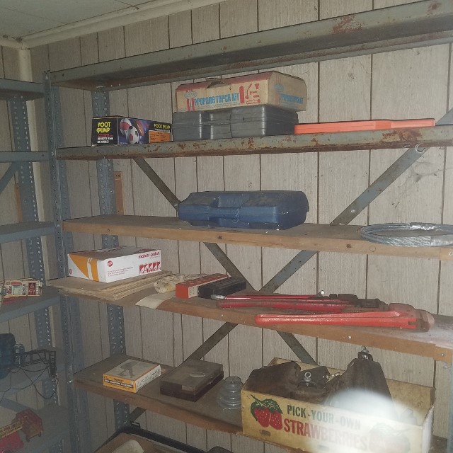 Auction Photo