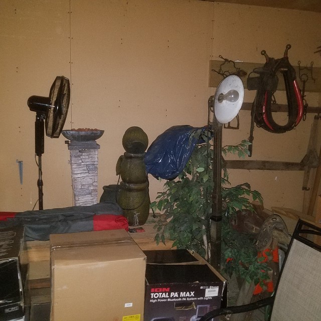 Auction Photo
