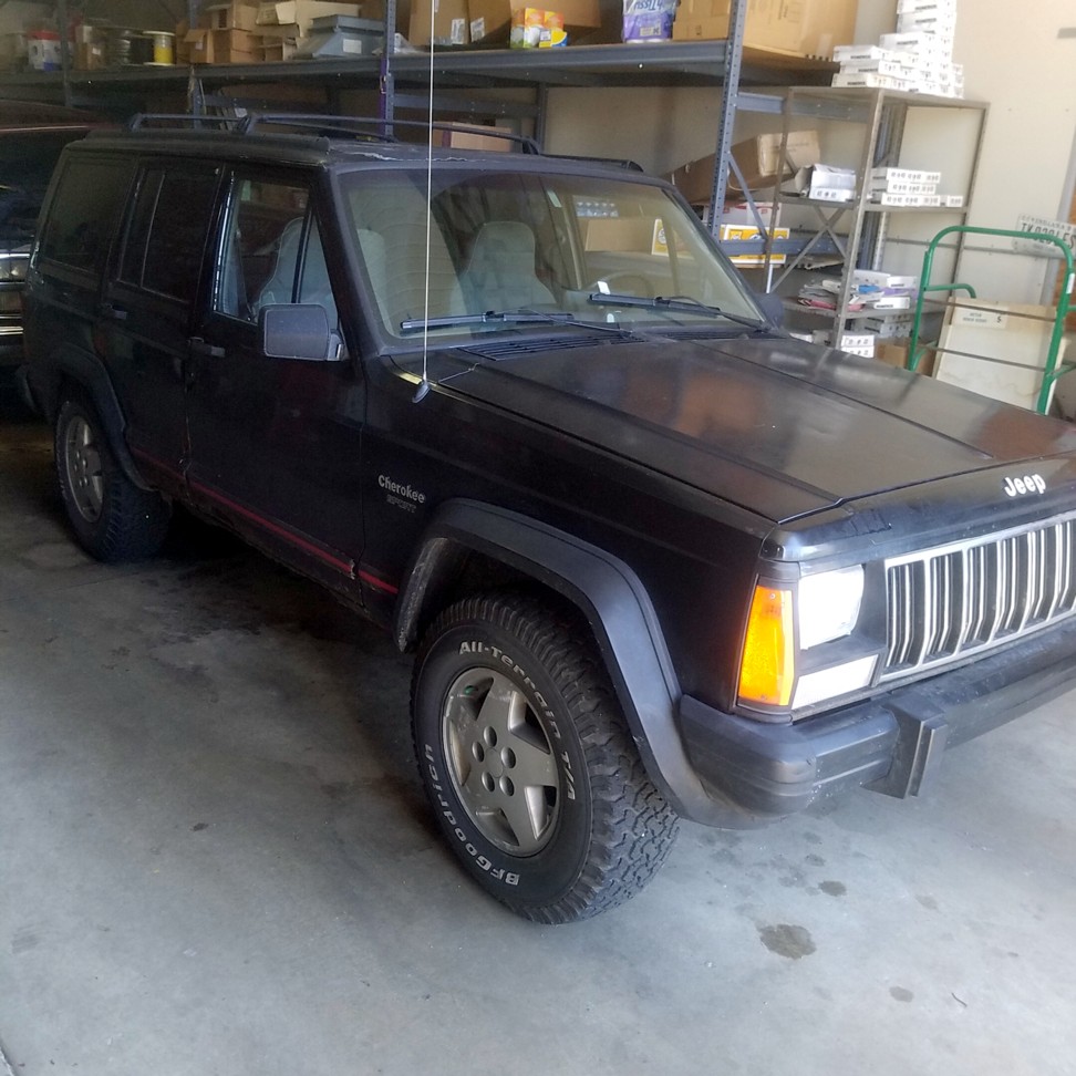 Auction Photo