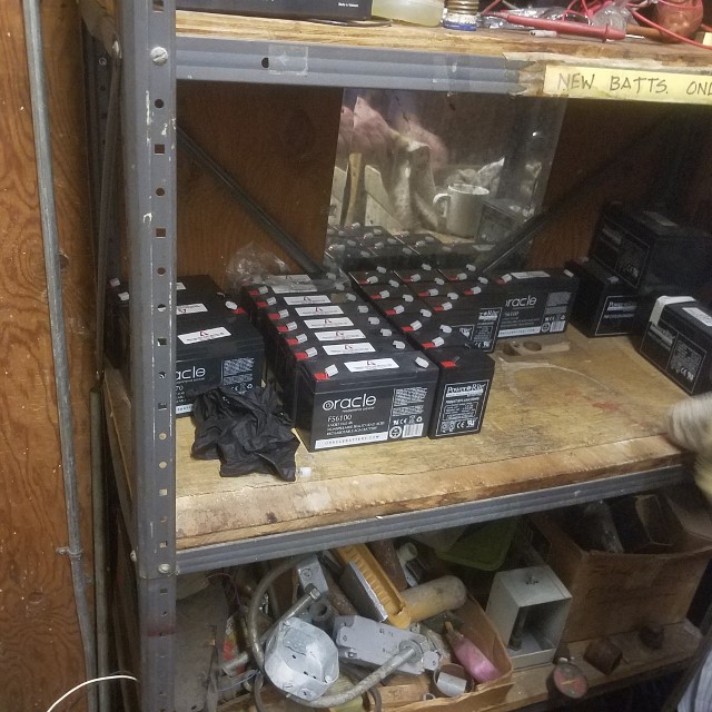 Auction Photo