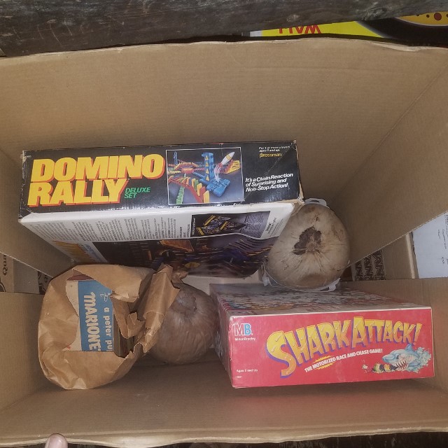 Auction Photo