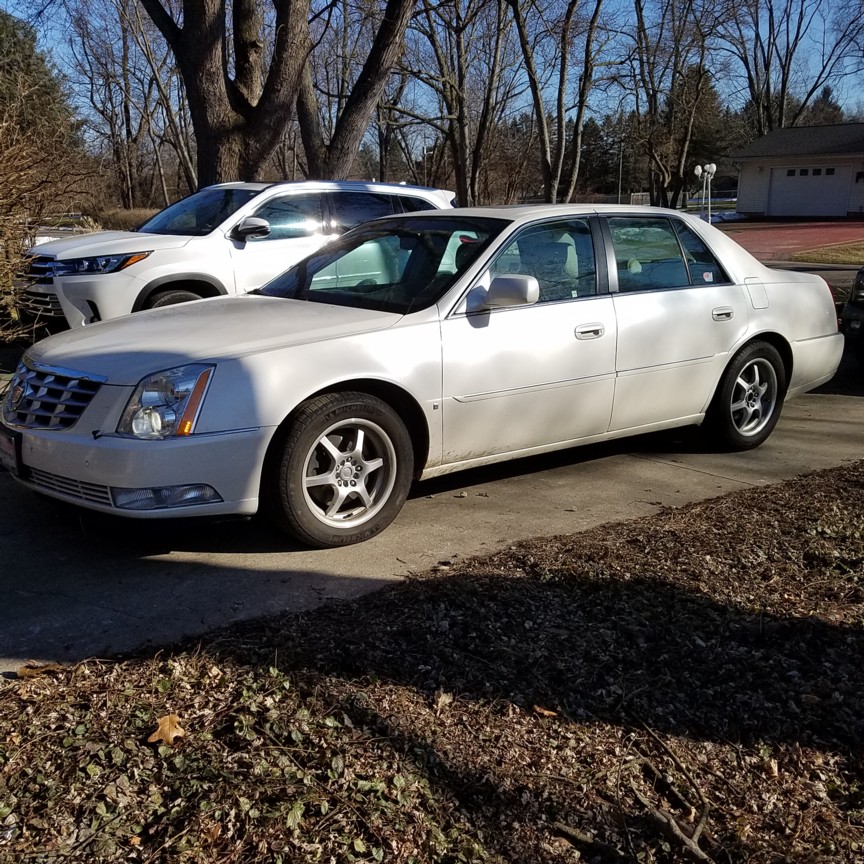 Auction Photo