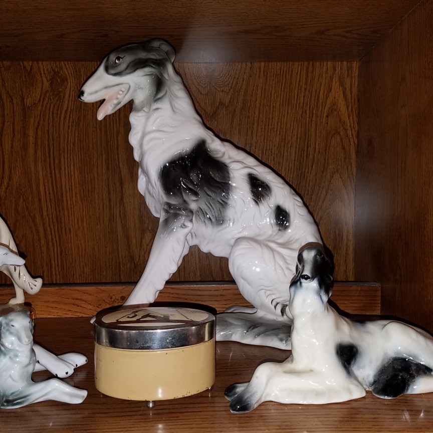 Auction Photo