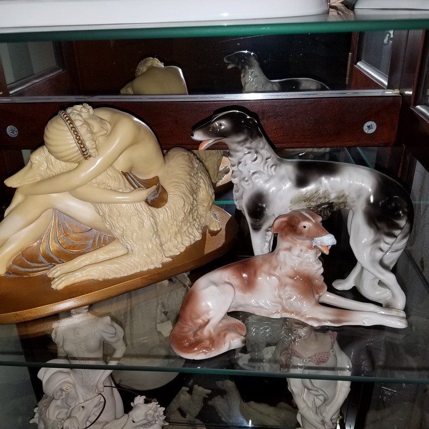 Auction Photo