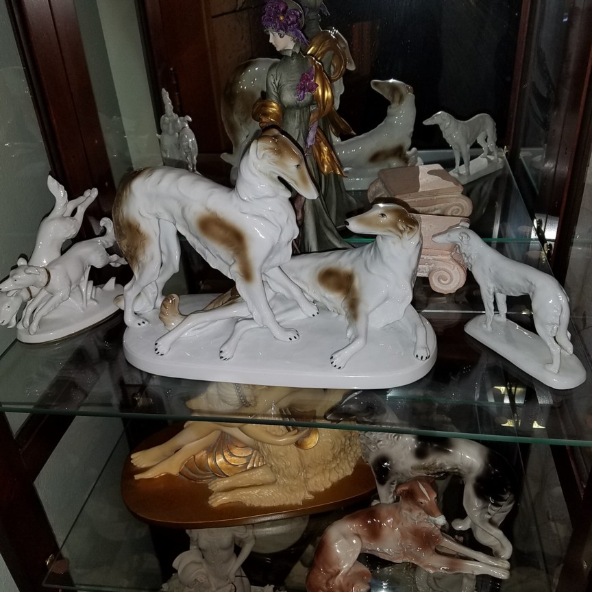 Auction Photo