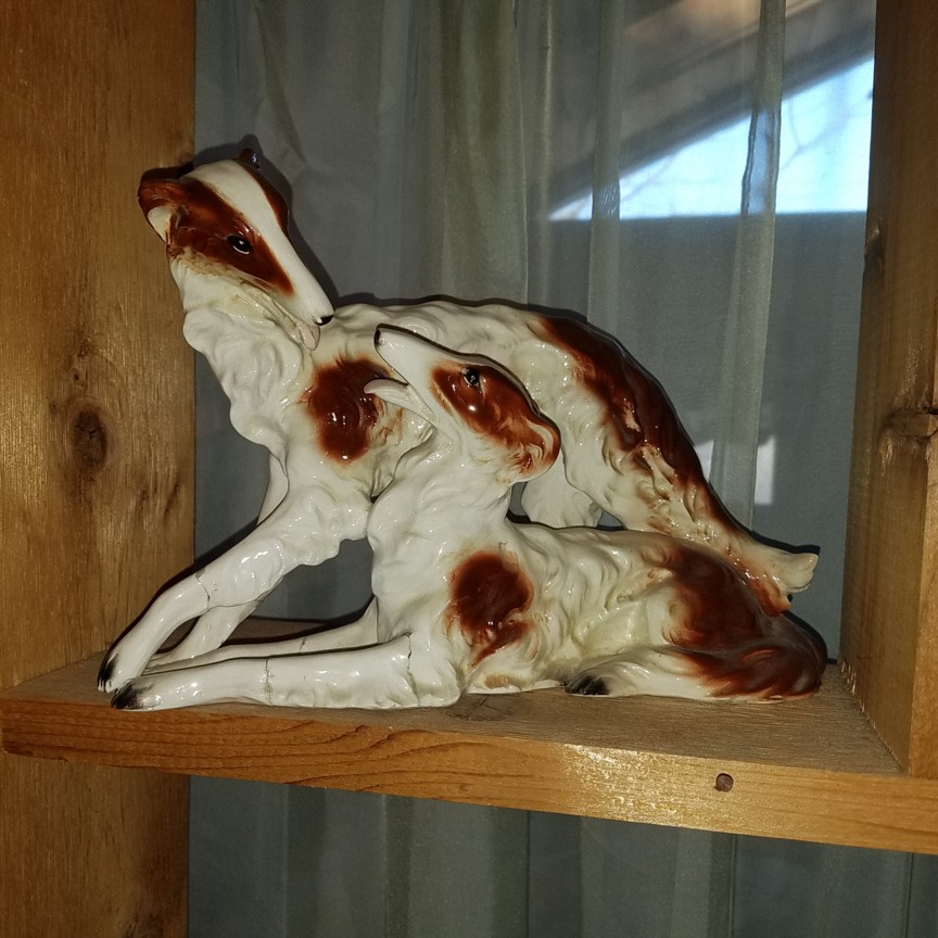 Auction Photo