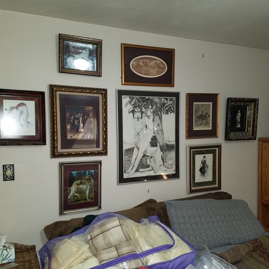 Auction Photo