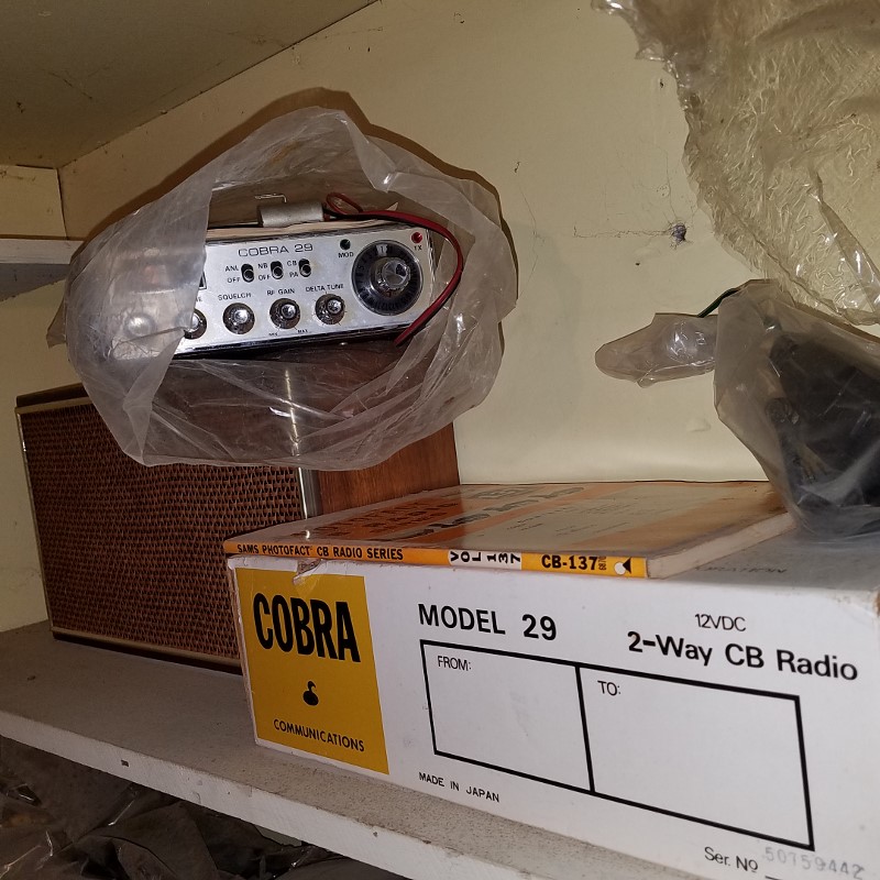 Auction Photo