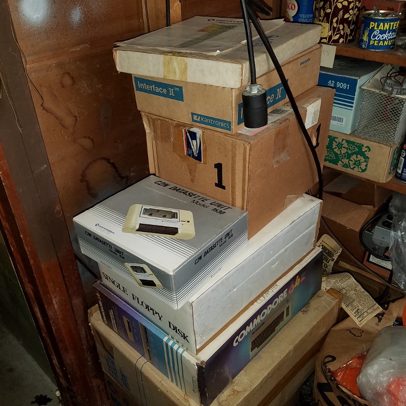 Auction Photo