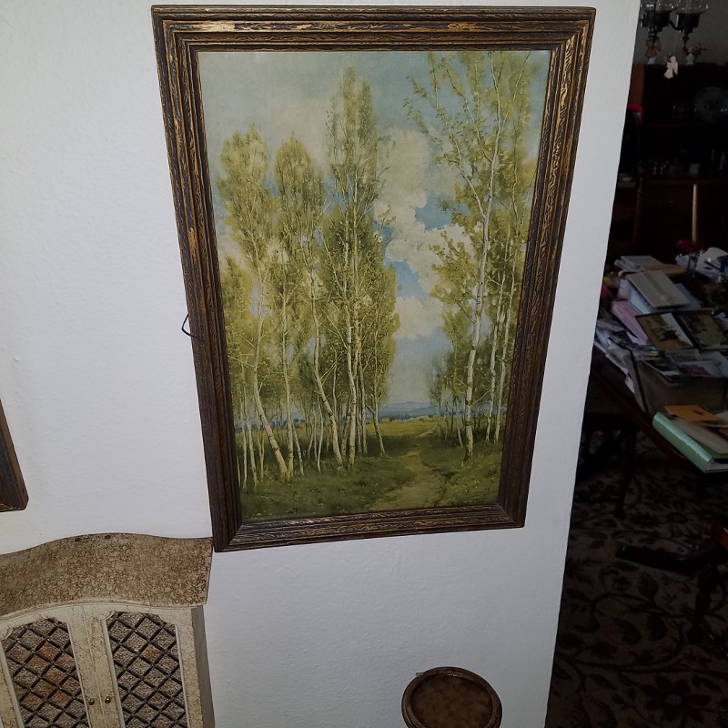 Auction Photo