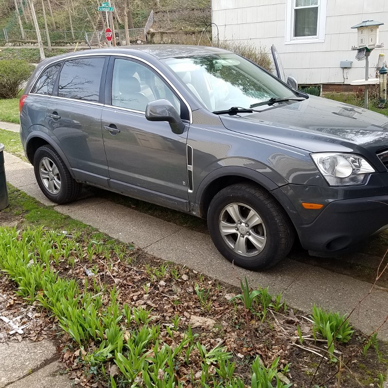 Auction Photo
