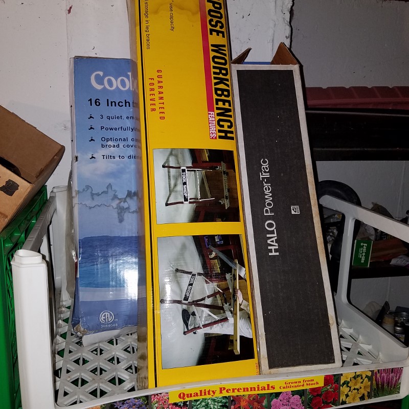 Auction Photo
