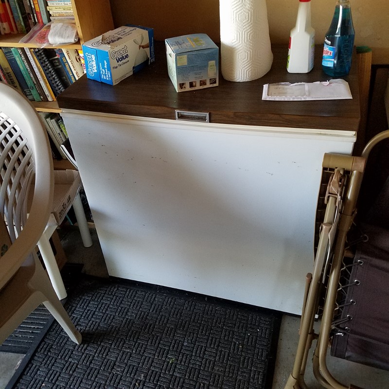 Auction Photo
