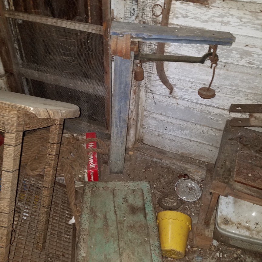 Auction Photo