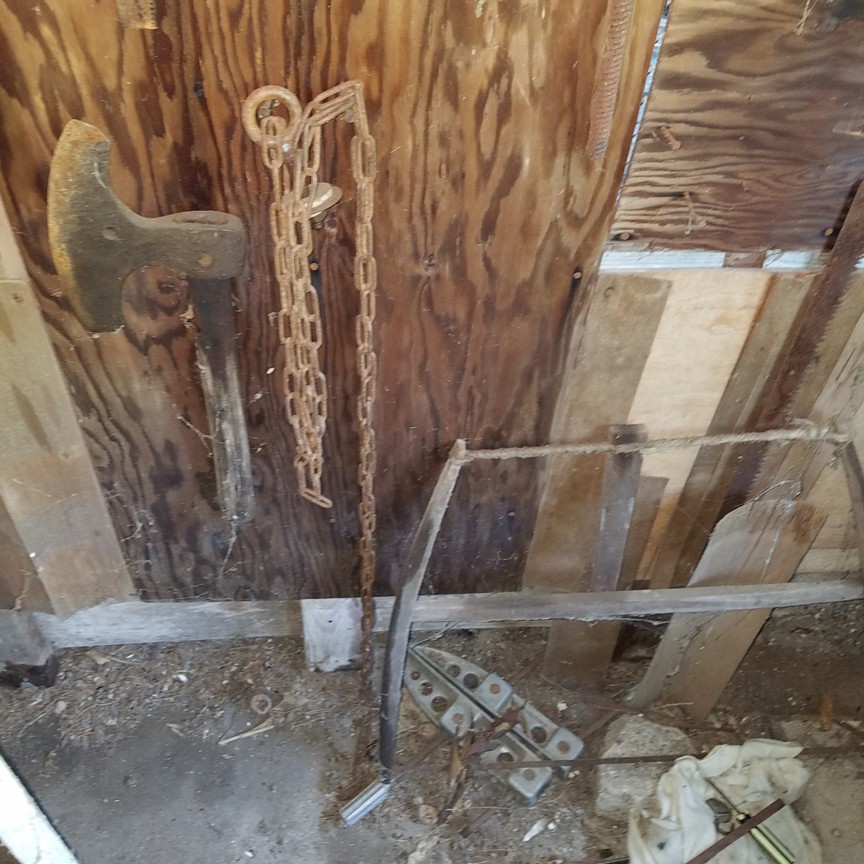 Auction Photo